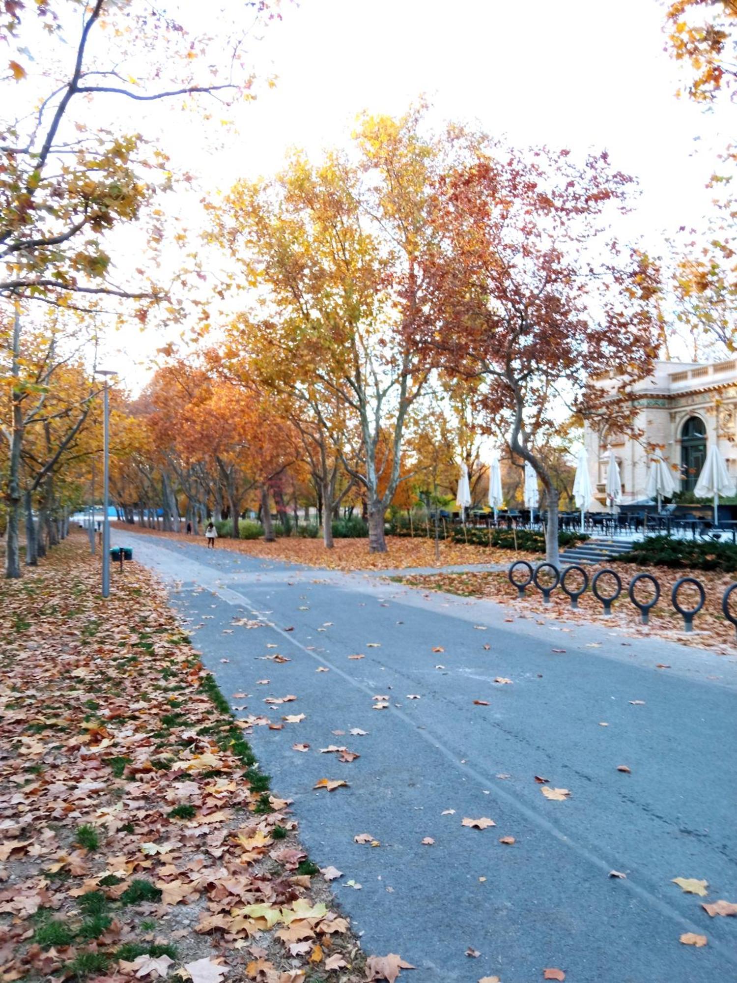Free Parking Garage! Downtown Apartment Close To New York Cafe Budapest Bagian luar foto